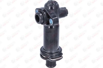 FLANSA LICHID RACIRE BIRTH 81773 9