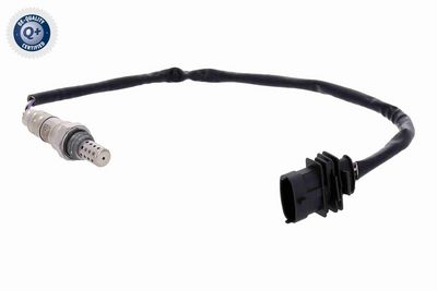 LAMBDASONDE VEMO V24760036 4