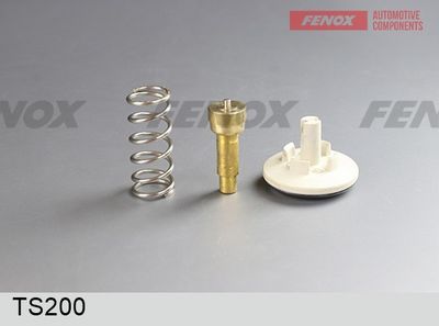 термостат, охладителна течност FENOX TS200