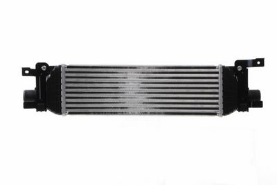 LADELUFTKüHLER MAHLE CI326000S 4