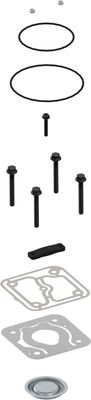 Compressor reparatieset WABCO (past op 411 151 003 411 151 009 411 154 000 411 154 003 411 154 004 912 126 003 0 daar kleppen)