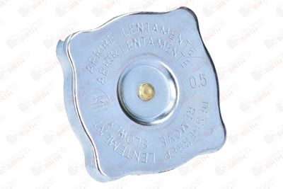 BUSON RADIATOR BIRTH 8087 11