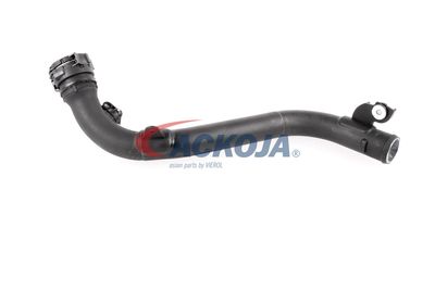 FURTUN EAR SUPRAALIMENTARE ACKOJA A380387 35