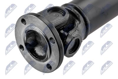 AX CARDANIC ANTRENAREA ARBORELUI NTY NWNLR032 2