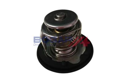 TERMOSTAT LICHID RACIRE