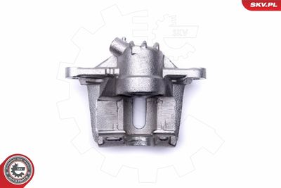 Brake Caliper 46SKV531