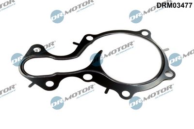 GARNITURA POMPA DE APA Dr.Motor Automotive DRM03477