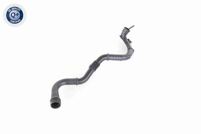 LADELUFTSCHLAUCH VAICO V460742 7