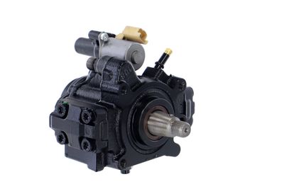 POMPA DE INALTA PRESIUNE REMANTE 002002000512R 51