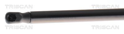 AMORTIZOR PORTBAGAJ TRISCAN 871040303 1