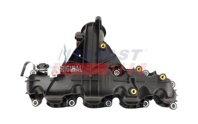 FT00625