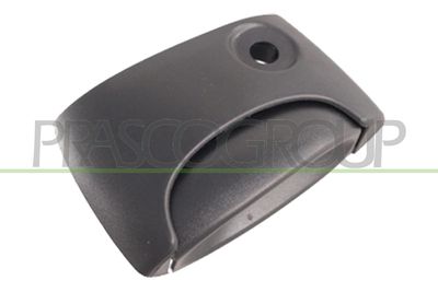 TüRGRIFF PRASCO DS9178141
