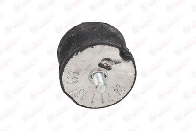 SUPORT MOTOR BIRTH 5283 10