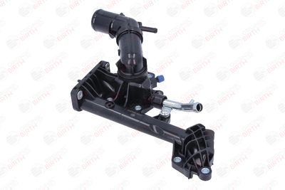 FLANSA LICHID RACIRE BIRTH 81085 9