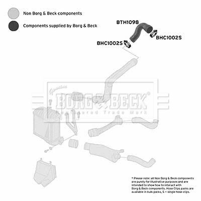 Charge Air Hose Borg & Beck BTH1098