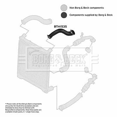 Charge Air Hose Borg & Beck BTH1535