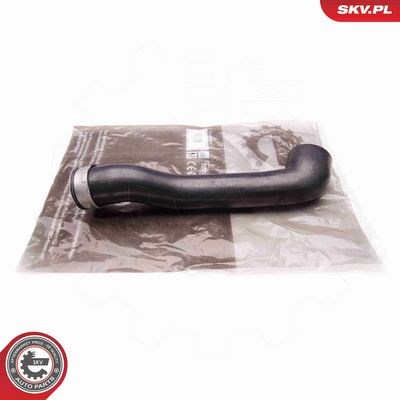 FURTUN EAR SUPRAALIMENTARE