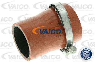 Трубка нагнетаемого воздуха VAICO V25-1035 для FORD GRAND