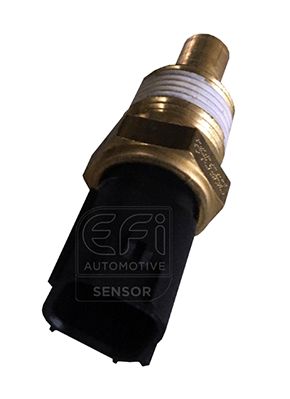 датчик, темература на маслото EFI AUTOMOTIVE 295068