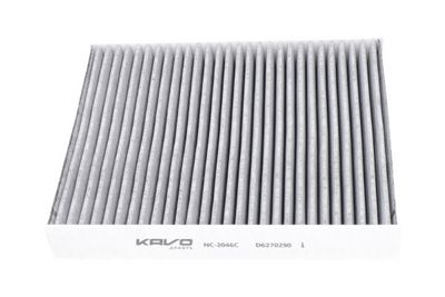Kavo Parts Filtras, salono oras