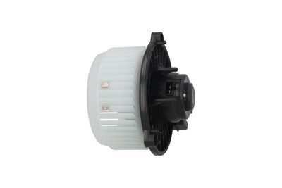 Vidaus pūtiklis