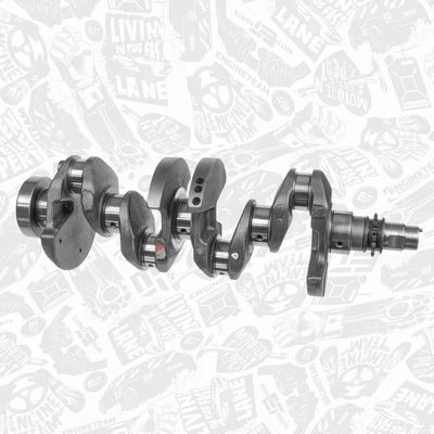 ARBORE COTIT ET ENGINETEAM HK0228 1