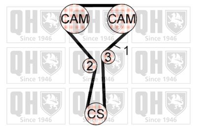 SET CUREA DE DISTRIBUTIE QUINTON HAZELL QBK689 1