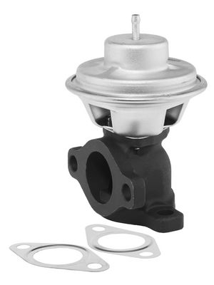 BorgWarner ERG vožtuvas