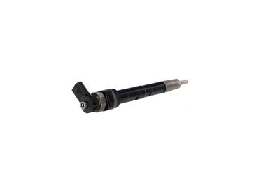 INJECTOR REMANTE 002003001489R 31