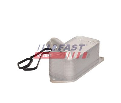 RADIATOR ULEI CUTIE VITEZE FAST FT04647 1