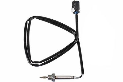 Sensor, Abgastemperatur