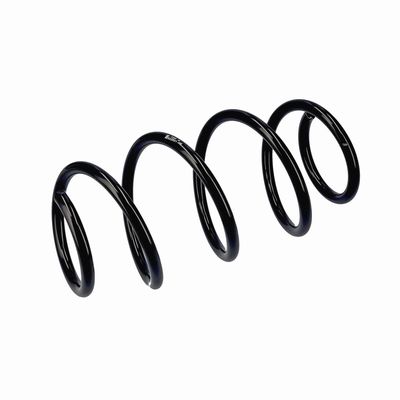 ARC SPIRAL EIBACH R22921 5