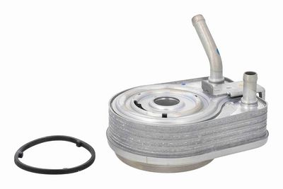 RADIATOR ULEI ULEI MOTOR ACKOJA A52600017