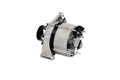 GENERATOR / ALTERNATOR REMANTE 011003000270R 17