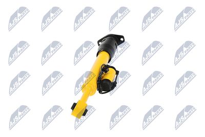 AMORTIZOR NTY ACH123 18