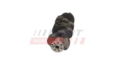 ARBORE COTIT FAST FT51759 17