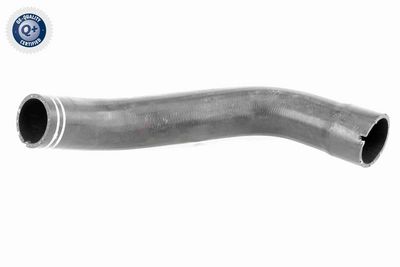 LADELUFTSCHLAUCH VAICO V240712 1