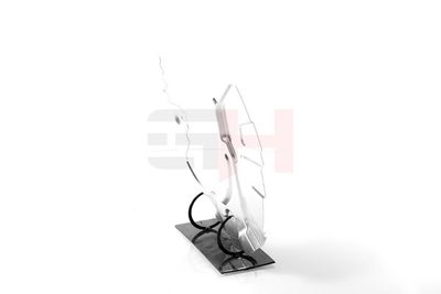 PROTECTIE STROPIRE DISC FRANA GH GH481550V 21