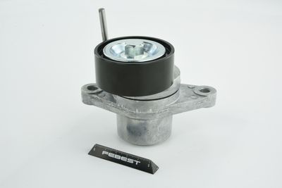 INTINZATOR CUREA CUREA DISTRIBUTIE FEBEST 0290G15RA 6