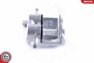 Brake Caliper 50SKV892