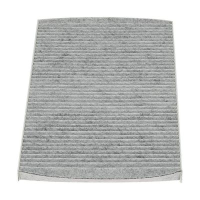 CHAMPION Filtras, salono oras