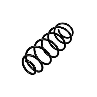 ARC SPIRAL EIBACH R10034 3
