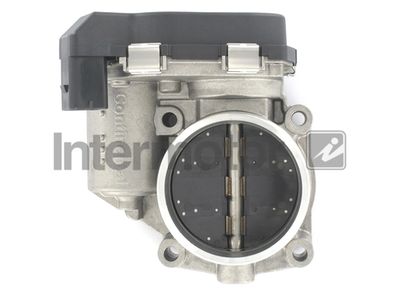 Throttle Body Intermotor 68348