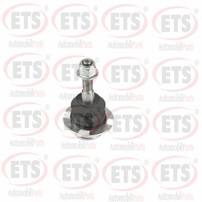 Шарнири ETS 73.BJ.507