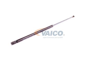 GASFEDER KOFFER-/LADERAUM VAICO V250232 55