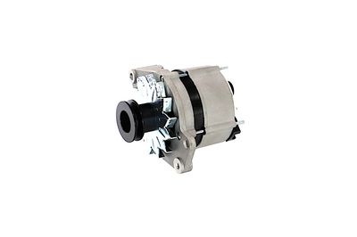 GENERATOR / ALTERNATOR REMANTE 011003000469R 8