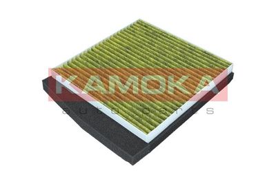 Filter, cabin air 6080089