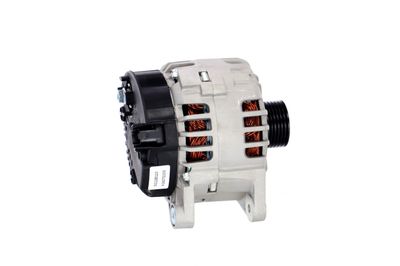 GENERATOR / ALTERNATOR REMANTE 011003000221R 42