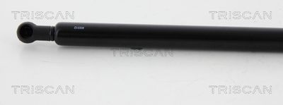 AMORTIZOR CAPOTA TRISCAN 871015106 1