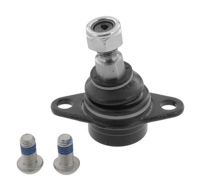 Šarnyras / girgždukas